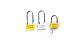 Padlock-Seal-ST-6001